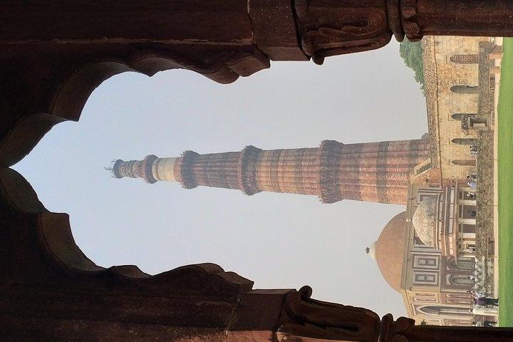 Tour de día completo de Delhi con guía y entradas