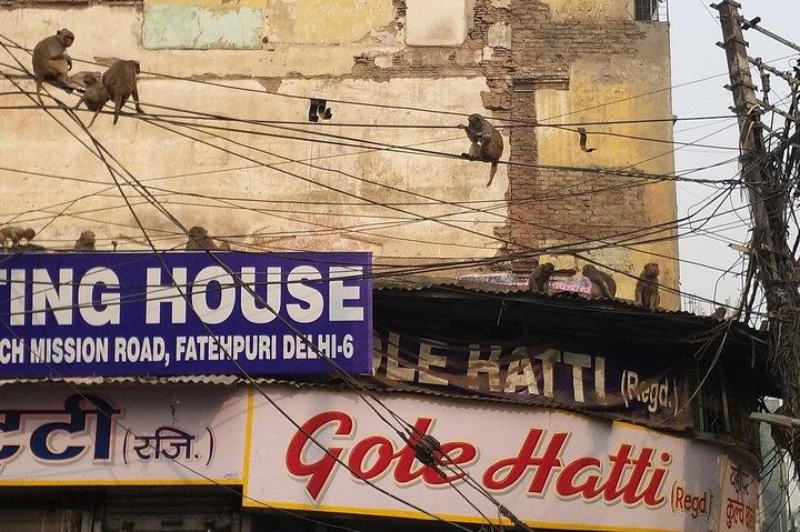 Tour de día completo de Delhi con guía y entradas