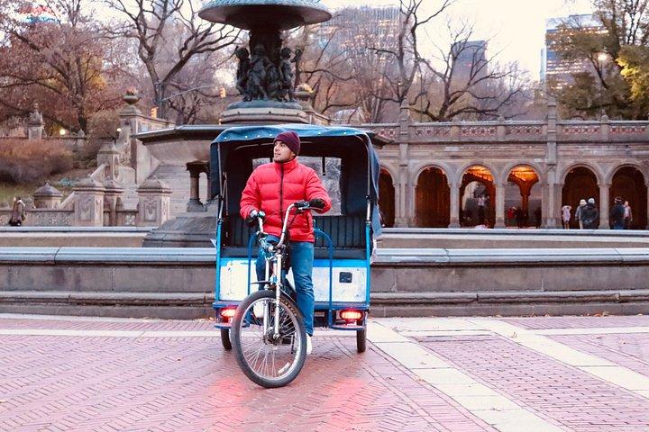 セントラルパークVIPツアー（最大2時間の無制限のストップ付きオールパークツアー）pedicab