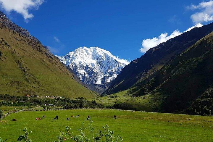 Salkantay Trek to Machu Picchu (5 jours)