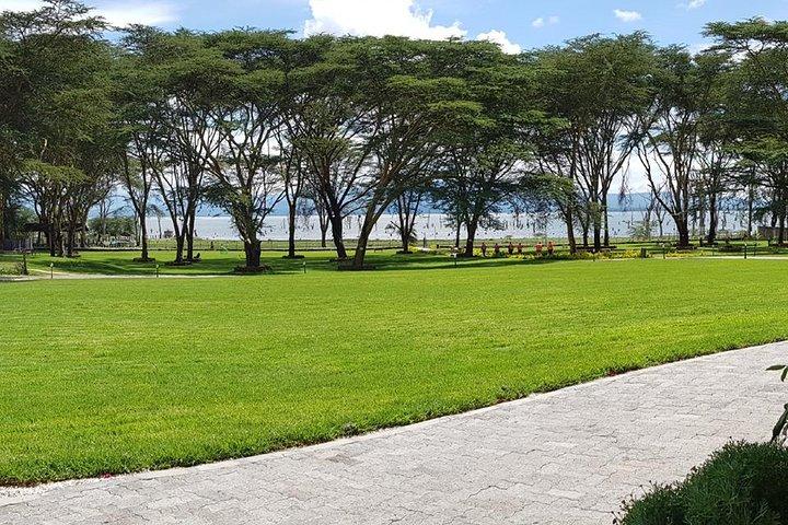 Mini safari di mezza giornata a Naivasha
