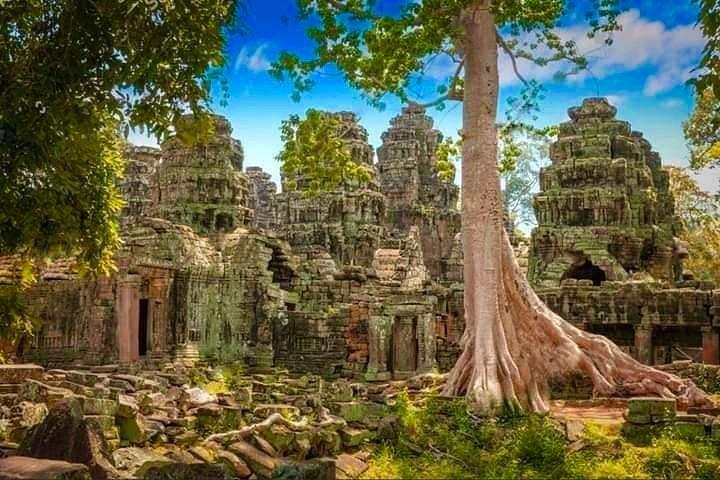 Explore Angkor Wat With TukTuk Tour