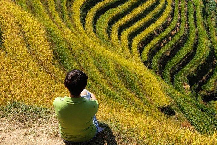 Longji Rice Terraces Day Tour fra Yangshuo-hotel