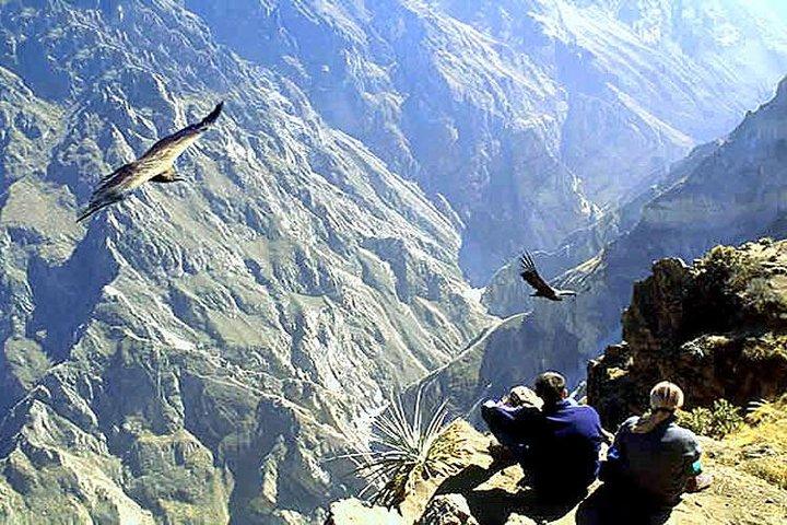 Tour Colca Kampagnepris for heldagen