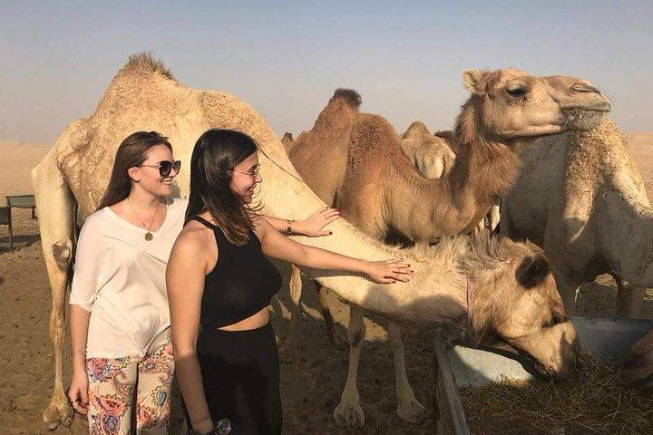 Private Full Day Liwa Desert Safari Tour with Lunch From Dubai