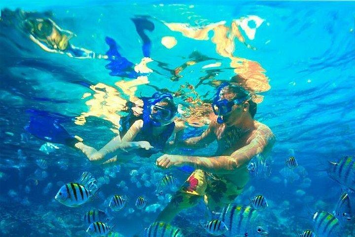 Xcaret Plus Park & Night Show from Riviera Maya