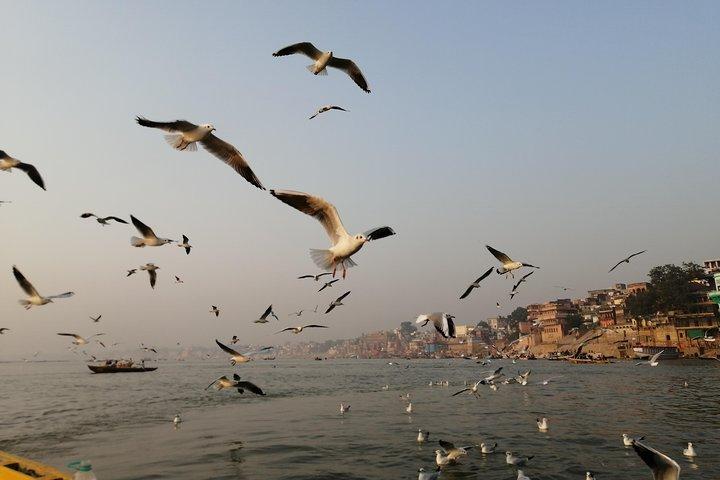 Ganga Sunrise Bootstour