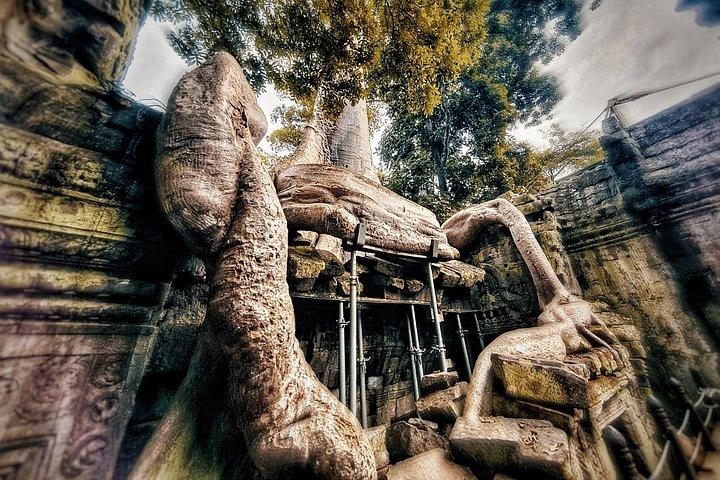 アンコール ワットとその他のハイライトへのプライベート 日の出ツアー。プロフェッショナル ガイドが同行します。
