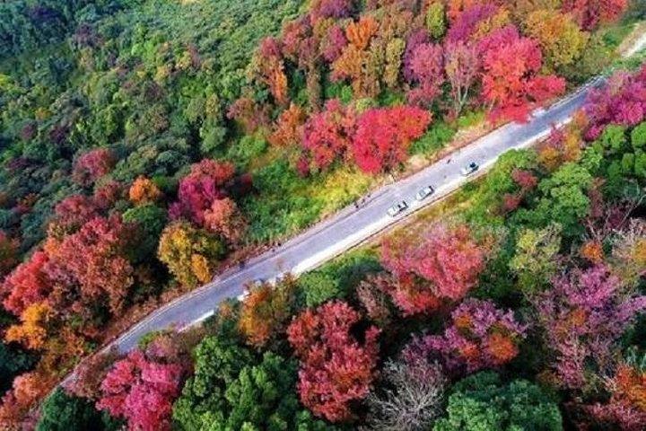 石門国家森林公園と従化温泉プライベート日帰りツアー