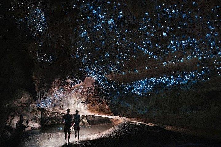 Waitomo Caves privétour vanuit Auckland