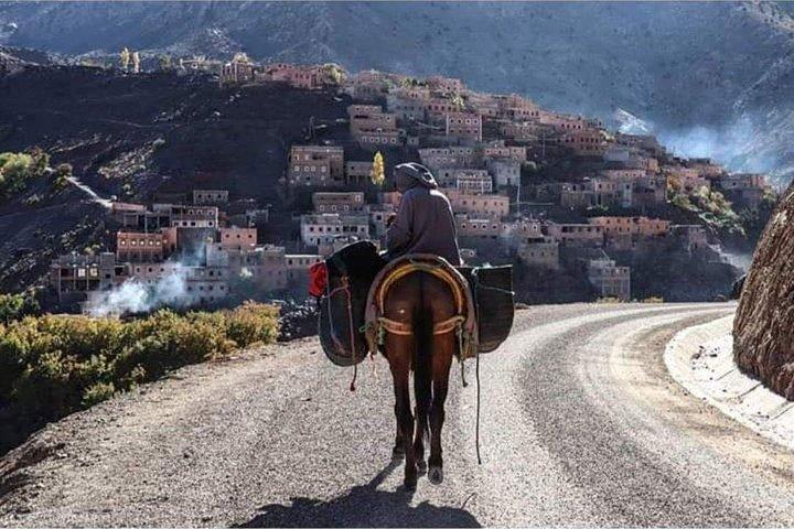 Kochkurs mit berbern im atlas berg tagestour von marrakech nach imlil