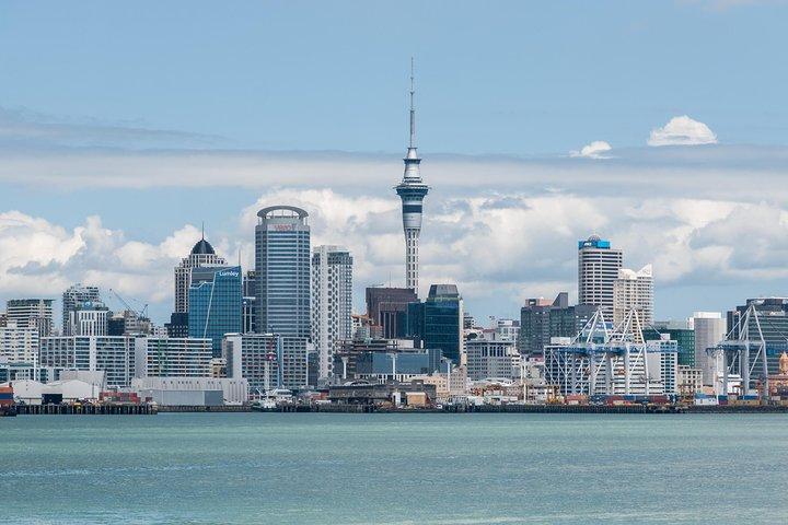 Tour panoramico della città di Auckland