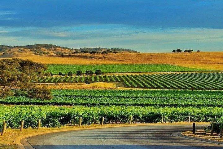 8-13 People Personal Tours
