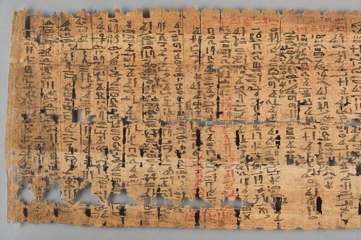 トリノとエジプト博物館のハイライトは、プライベートガイドと一緒に列をスキップします