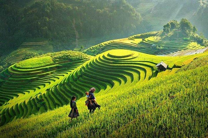 Sapa Trekking Tour 2 días 1 noche en autobús
