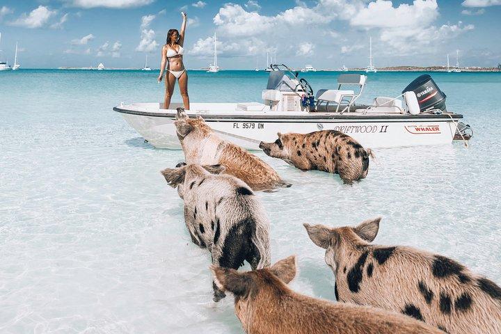 Exuma Elite Escape: aventura de lujo en Pig Beach con vuelo en avión - 7 paradas