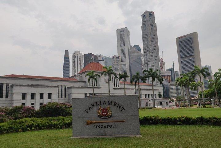 Tour privado de medio día por Singapur con jardín botánico de orquídeas