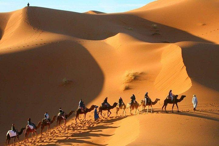 Camel Trekking & Overnight Luxury Camp