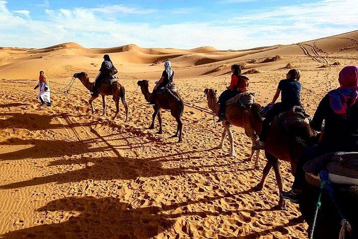 Camel Trekking & Overnight Luxury Camp