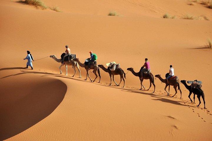 Camel Trekking & Overnight Luxury Camp