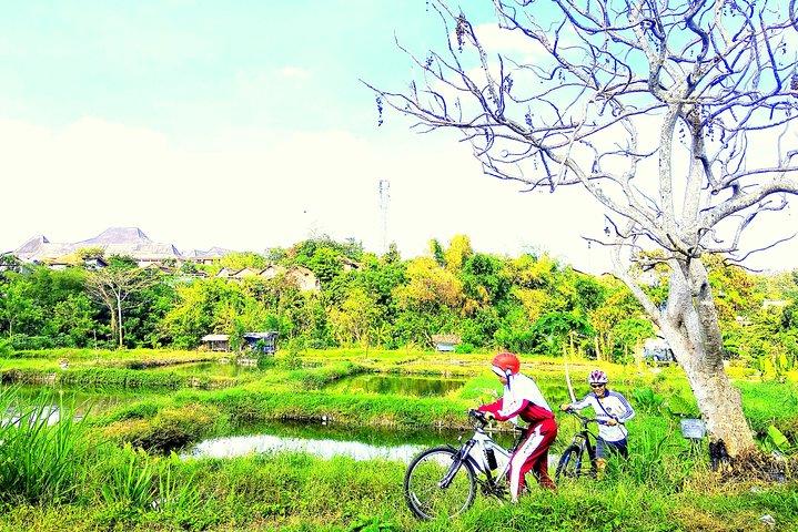 Recorrido en bicicleta por Yogyakarta por los pueblos y la granja de peces