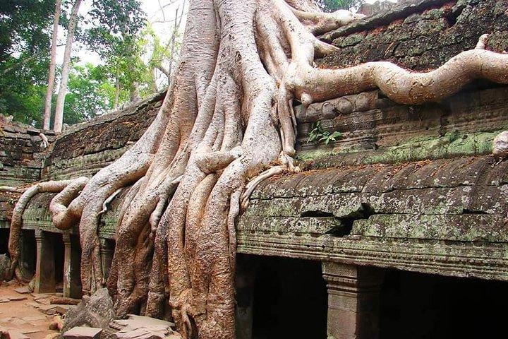 Speciale Angkor Tour di tre giorni