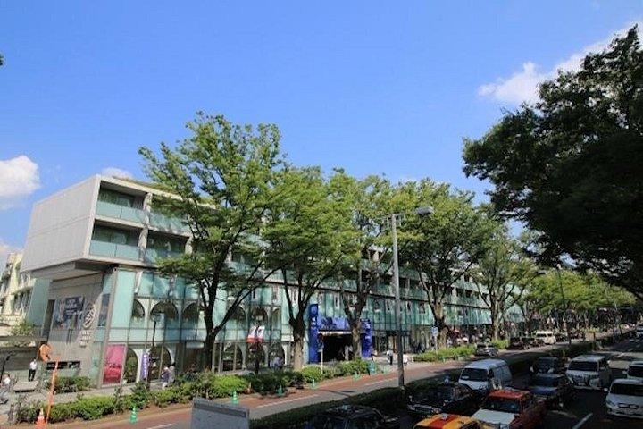 Discover your Tokyo -カスタマイズされた東京プライベートウォーキングツアー-