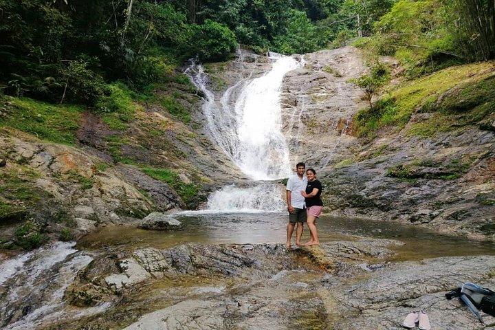 Full Day Cameron Highlands Adventure From Kuala Lumpur