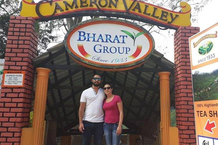 Full Day Cameron Highlands Adventure From Kuala Lumpur