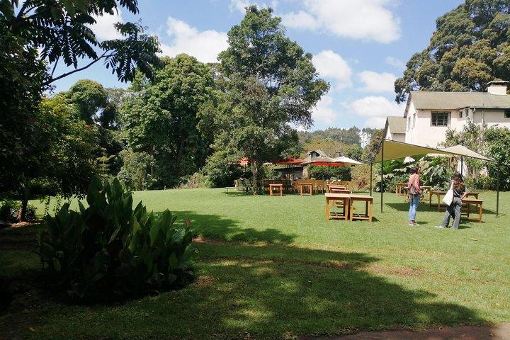 Nairobi til Kiambethu Tea Farm Tour