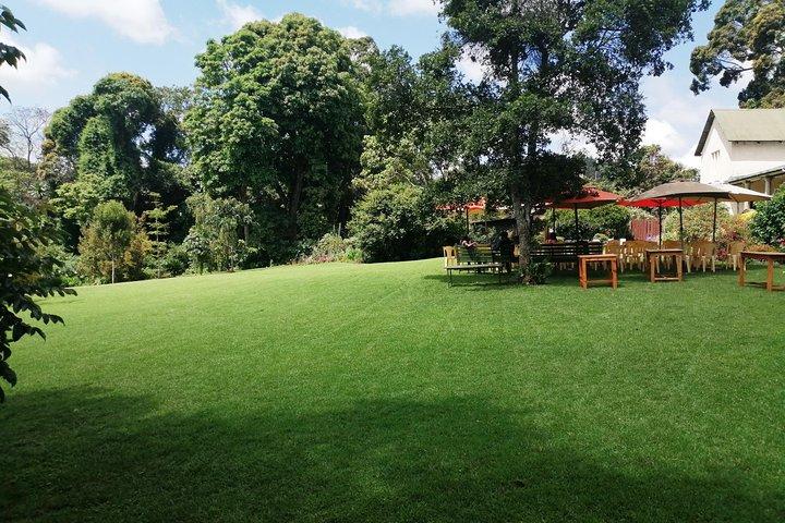 Nairobi til Kiambethu Tea Farm Tour