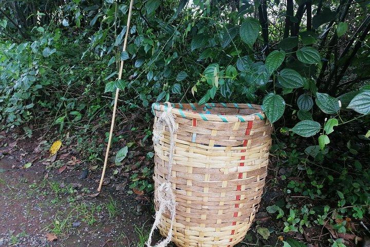 Nairobi til Kiambethu Tea Farm Tour