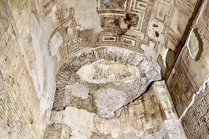 ネロの黄金の家修復現場ツアー