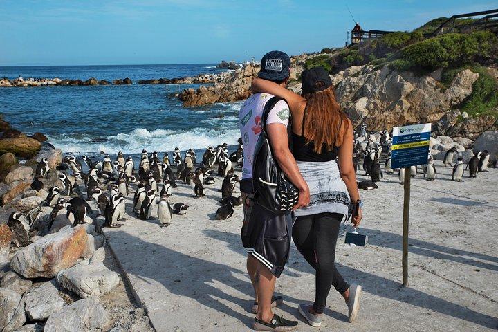 Bedste fra Cape Town privat heldags tur med Taffelbjerget