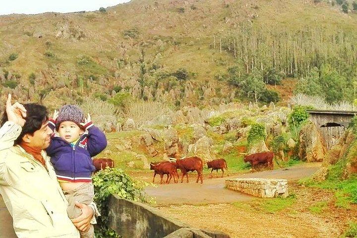 Visita guiada ao Parque Natural de Cabarceno a partir de Santander