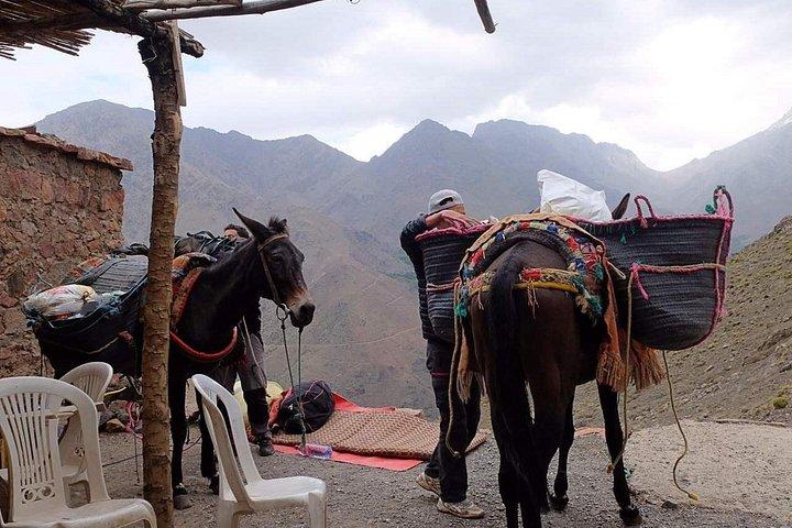 Tre dages vandretur i High Atlas Mount