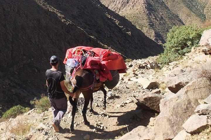 Tre dages vandretur i High Atlas Mount