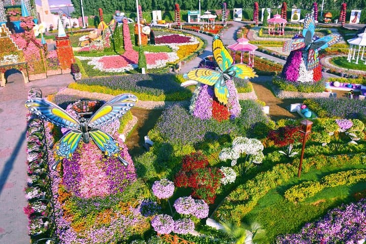 Dubai Miracle Garden Ticket with Transfer