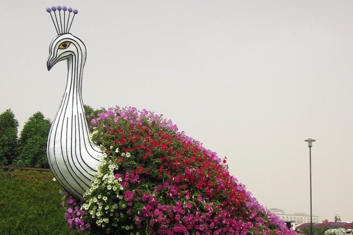 Dubai Miracle Garden Ticket with Transfer