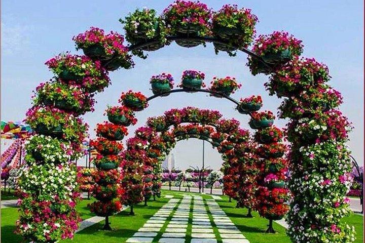 Dubai Miracle Garden Ticket with Transfer