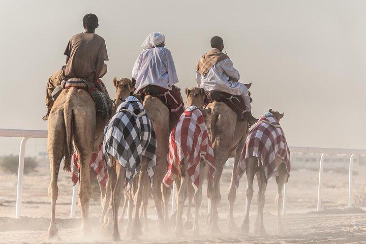 Doha: Relaxe e refresque sob as estrelas do deserto + um passeio de camelo grátis