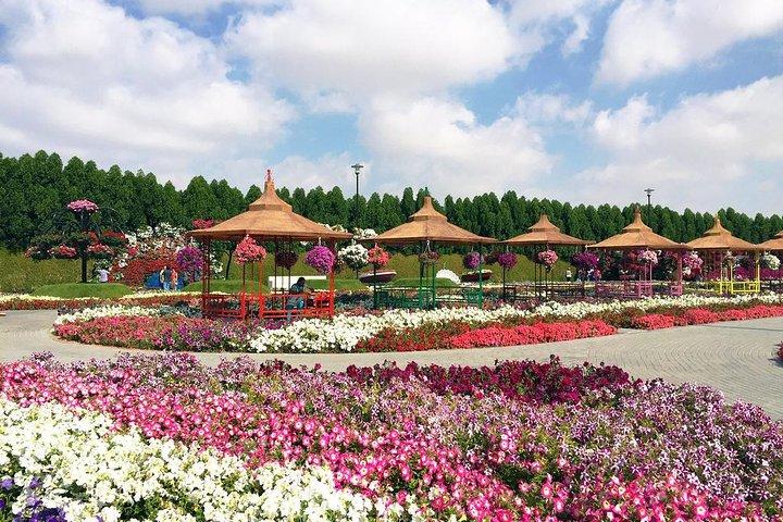 Visite autoguidée du Dubai Miracle Garden avec billet et transfert