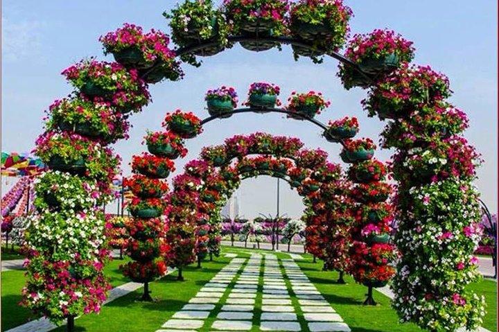 Visite autoguidée du Dubai Miracle Garden avec billet et transfert