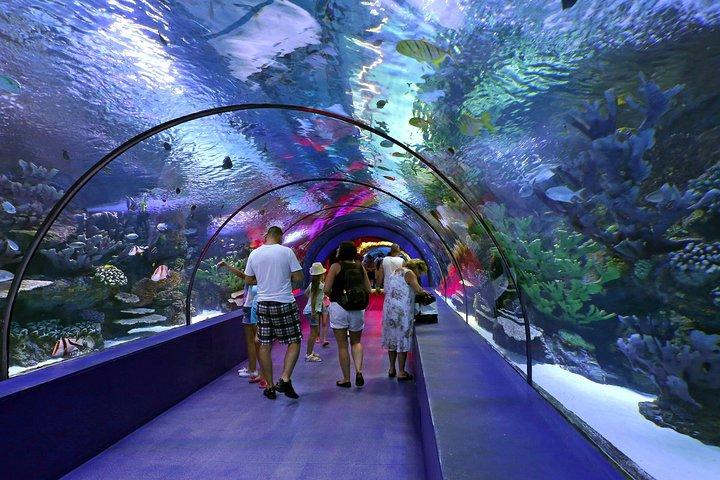 Antalya: Aquarium Ticket With Optional Transfer