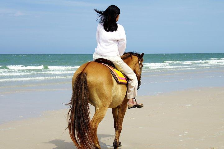 Passeggiate a cavallo sulla spiaggia di Side