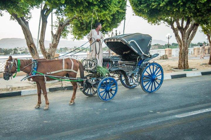 Tour della città di Assuan in carrozza