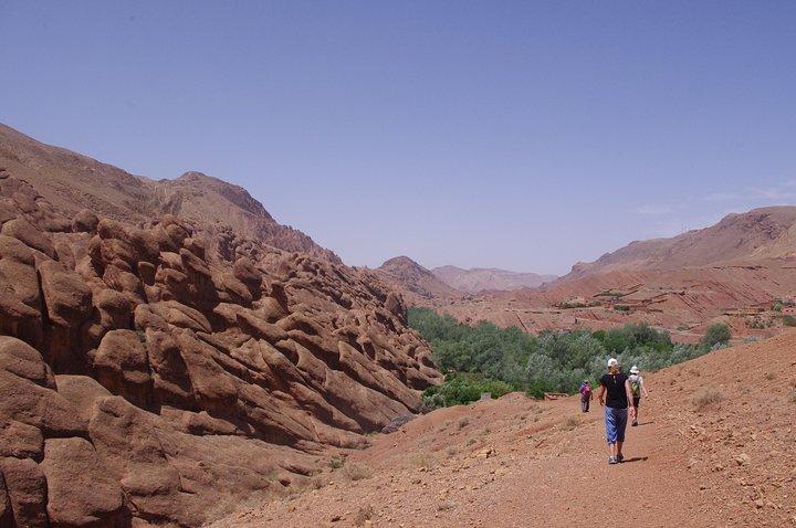 Escursione nella Valle delle Rose e del Dades in Marocco