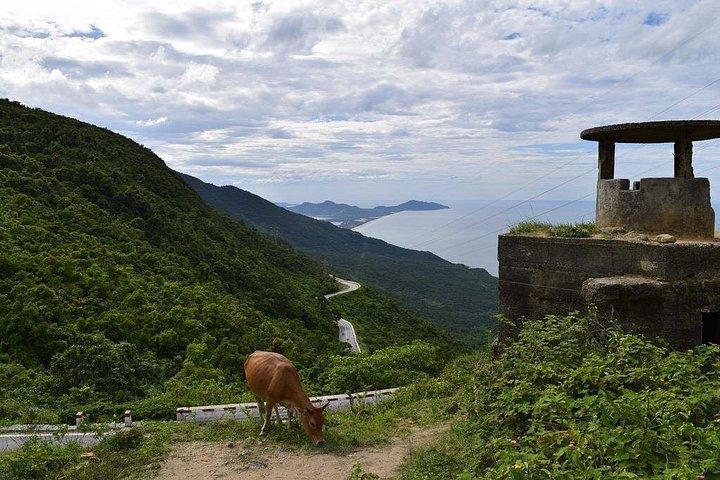 ダナンまたはホイアンとフエを往復する片道送迎ツアー