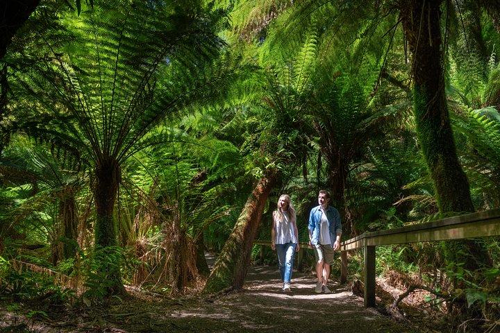 Visite privée de Great Ocean Road