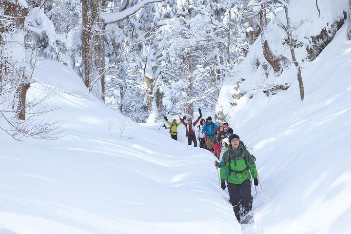 Tour de raquetas de nieve